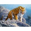 180 db-os puzzle - Tigris a sziklán