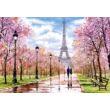 1000 db-os Castorland Puzzle -  Romantikus séta Párizsban