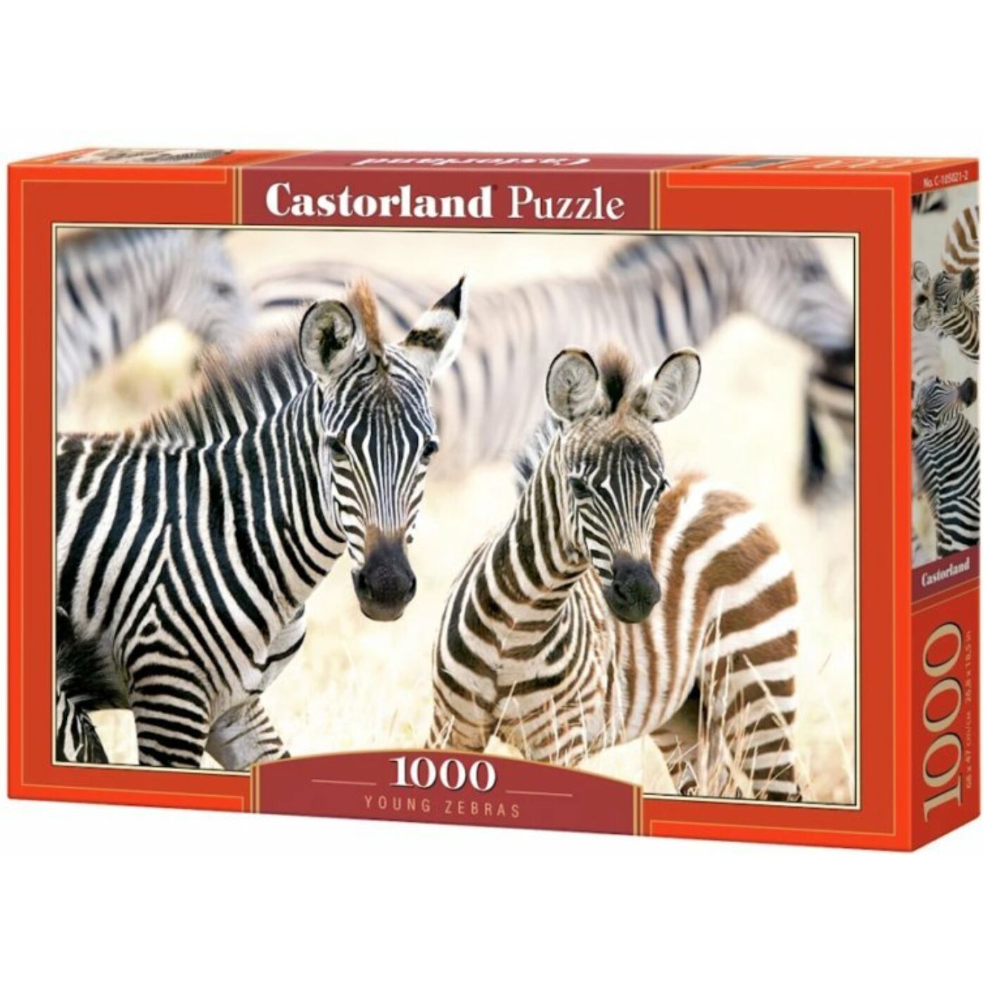 1000 db-os Castorland  Puzzle - Fiatal zebrák