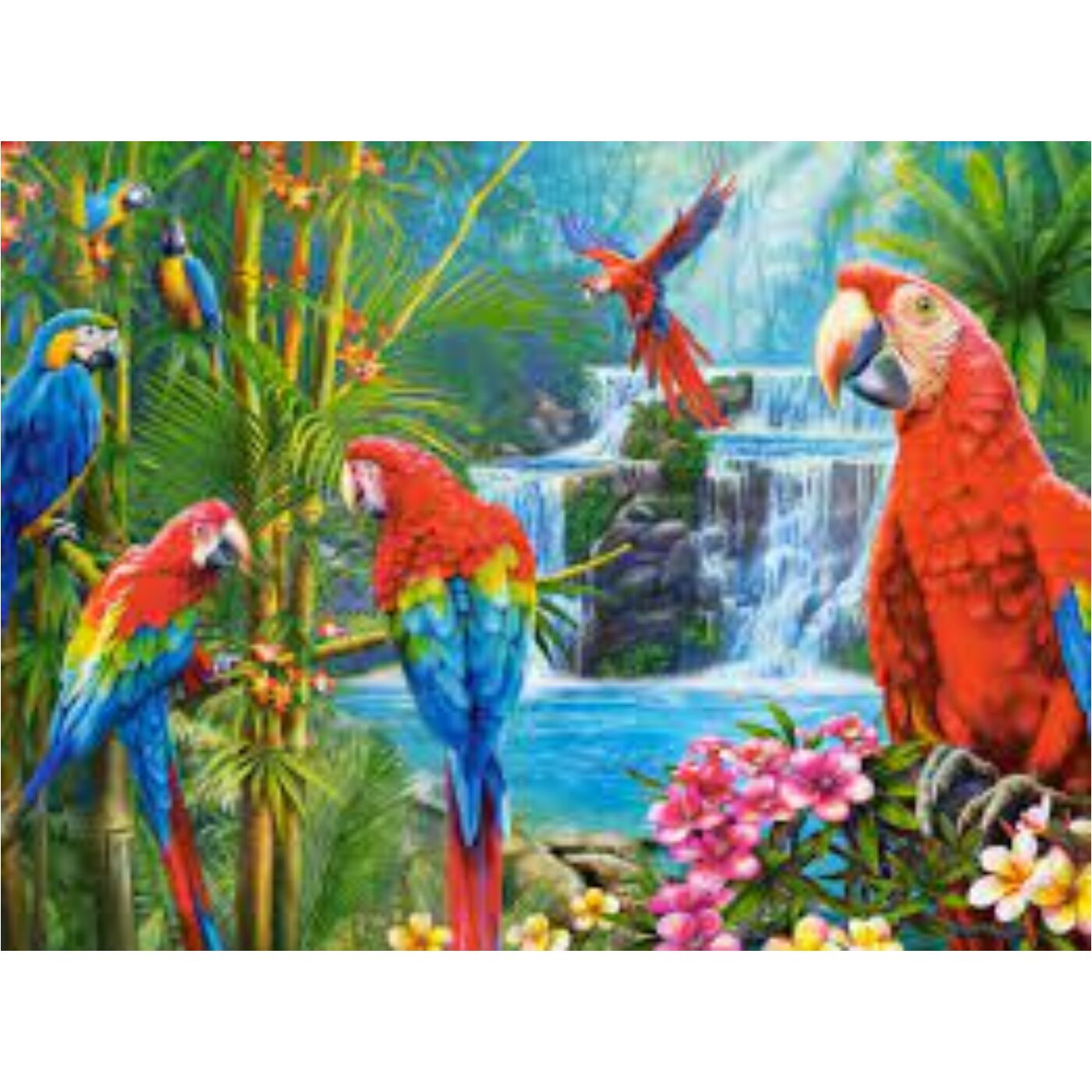 2000 db-os puzzle - Papagáj találkozó