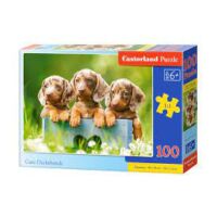 100 db-os Castorland puzzle - Francia bulldog kölyök