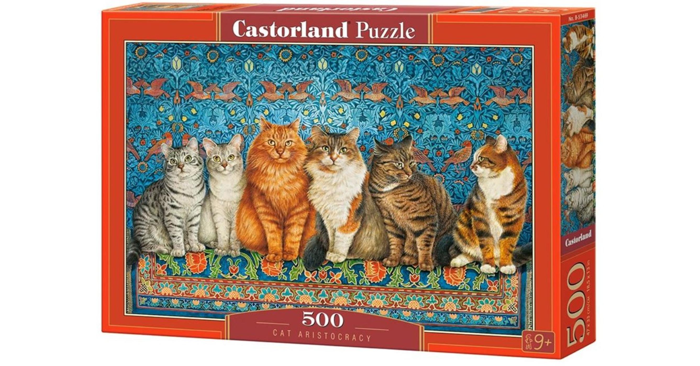 castorland puzzle