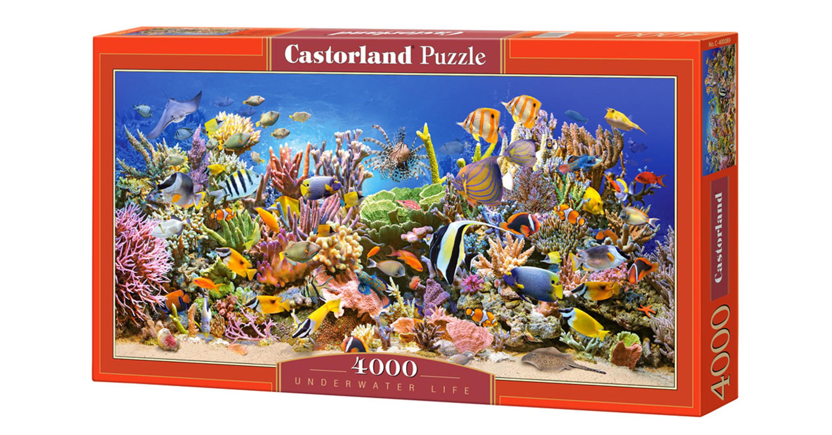 castorland puzzle