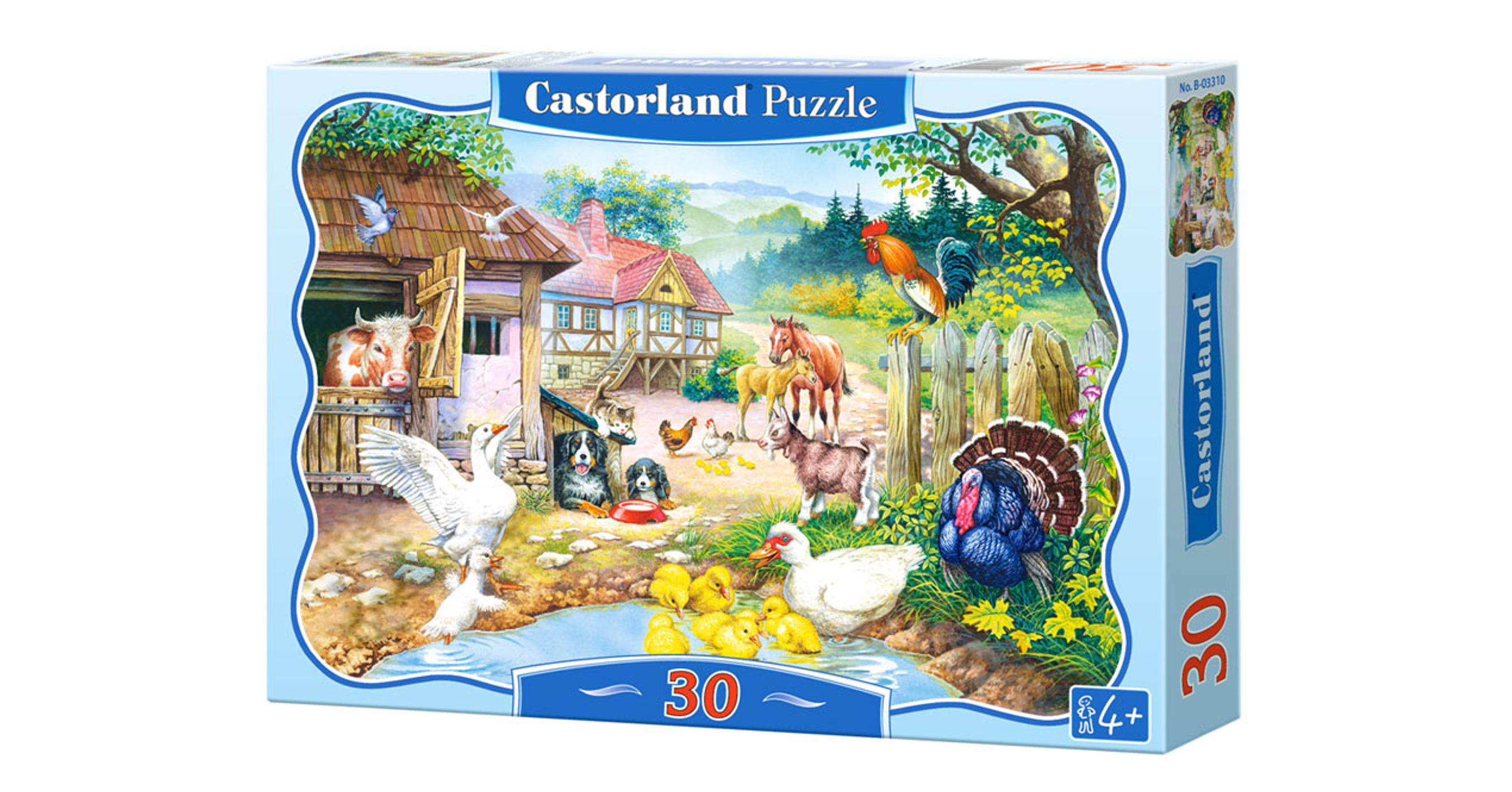 castorland puzzle